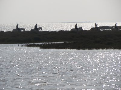 Camargues-riders