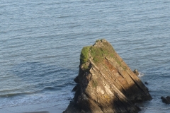 Tenby-Rock